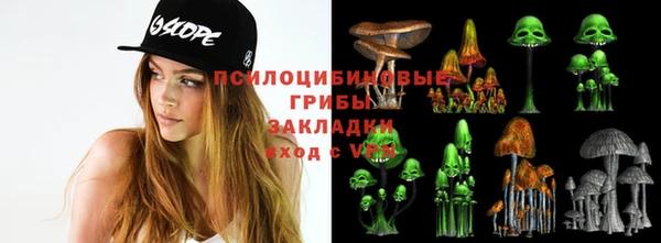 спайс Алексин