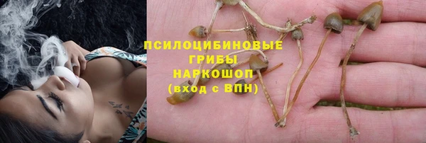 спиды Абаза