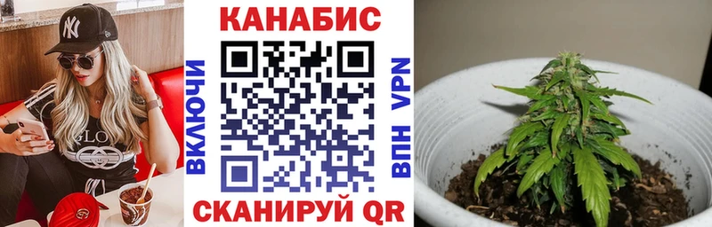 купить закладку  Богородицк  Бошки марихуана марихуана 
